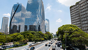 Road in Brazil lined with trees and skyscrapers